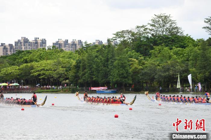 广东惠州端午水上盛事：21支龙舟队齐聚挥桨破浪