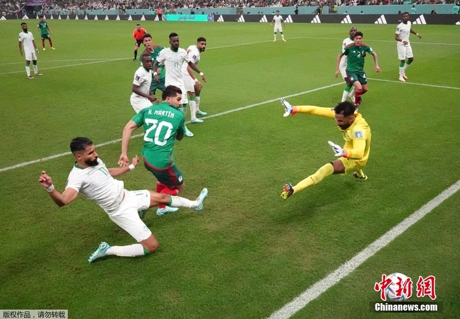 阿根廷力克波兰挺进十六强 法国澳大利亚携手出